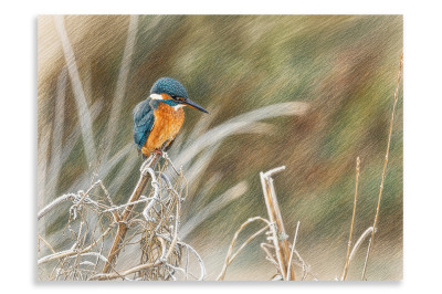 Winter Fishing- Artistic