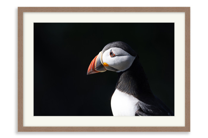 Walnut Frame A5 - 14.8 x21 cm  (+£110.00)