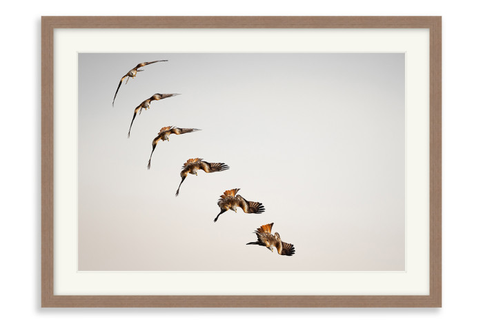 White Frame A5 - 14.8 x21 cm  (+£110.00)