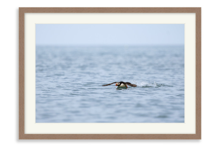 Walnut Frame A5 - 14.8 x21 cm  (+£110.00)