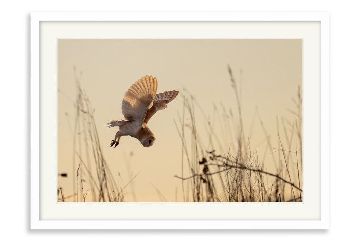 White Frame A4 -  21 x 29.7 cm (+£125.00)