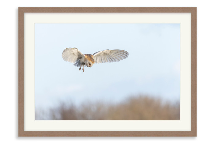 Walnut Frame A3 - 29 x 42 cm (+£159.00)