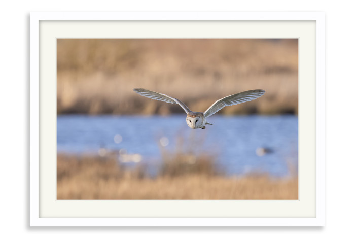 White Frame A4 -  21 x 29.7 cm (+£125.00)