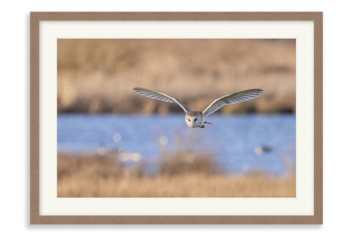 Walnut Frame A3 - 29 x 42 cm (+£159.00)