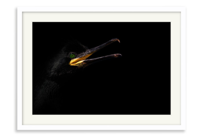 White Frame A4 -  21 x 29.7 cm (+£125.00)