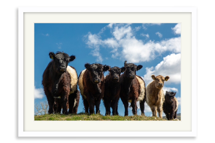 White Frame A3+ - 32.9 x 48.3 cm (+£220.00)
