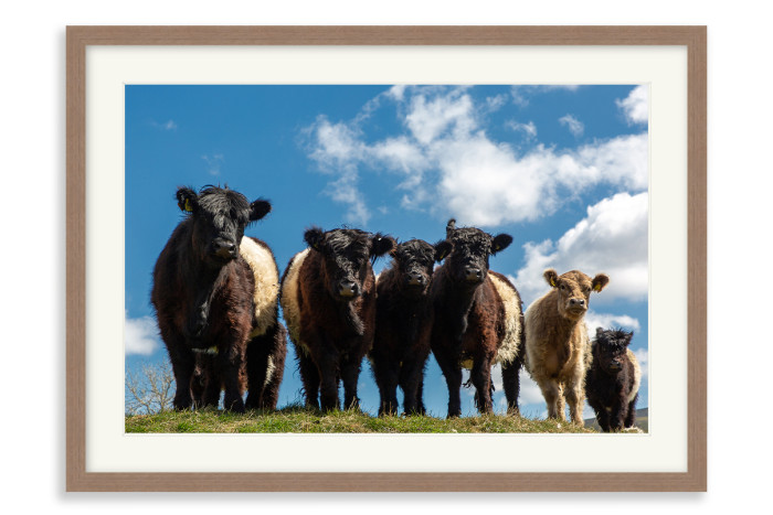 Walnut Frame A3+ - 32.9 x 48.3 cm (+£232.00)