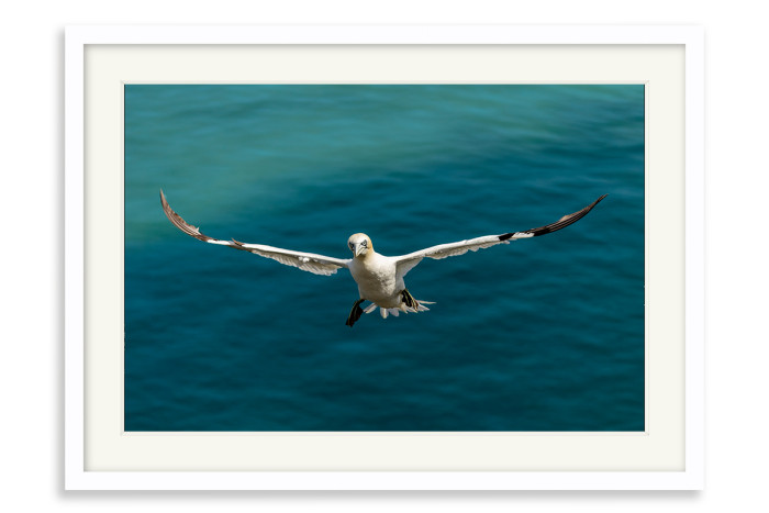 White Frame A5 - 14.8 x21 cm  (+£220.00)