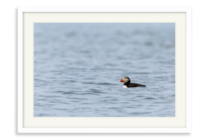 White Frame A4 -  21 x 29.7 cm (+£125.00)