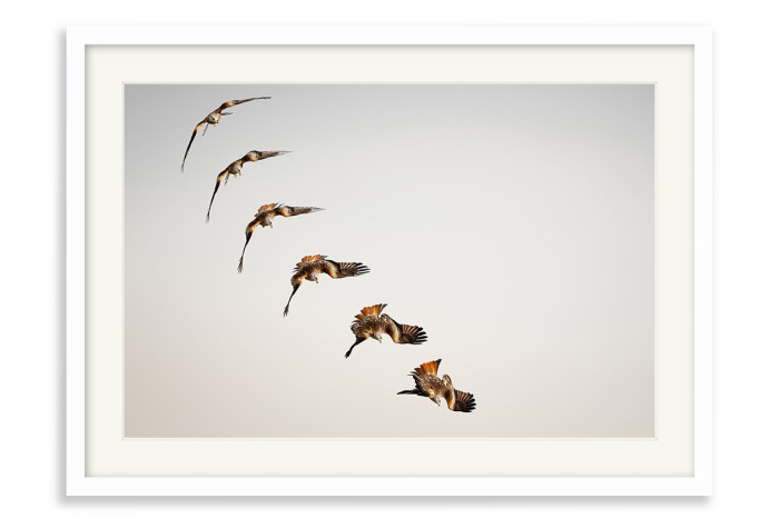 White Frame A4 -  21 x 29.7 cm (+£125.00)