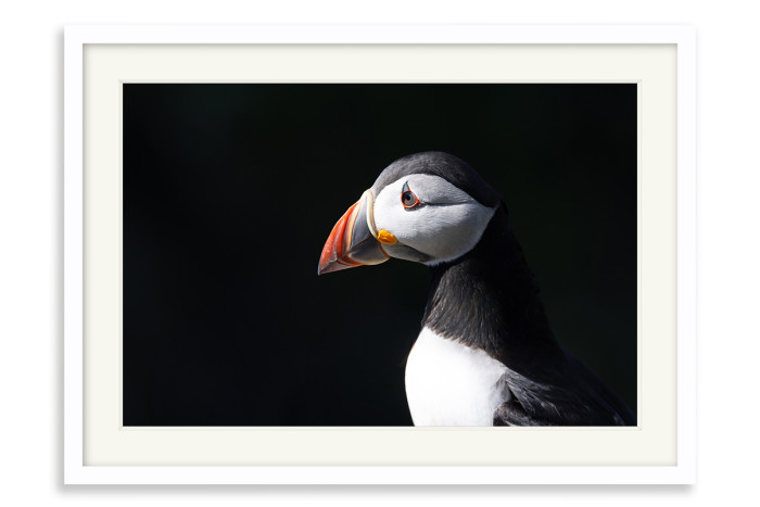 White Frame A4 -  21 x 29.7 cm (+£125.00)