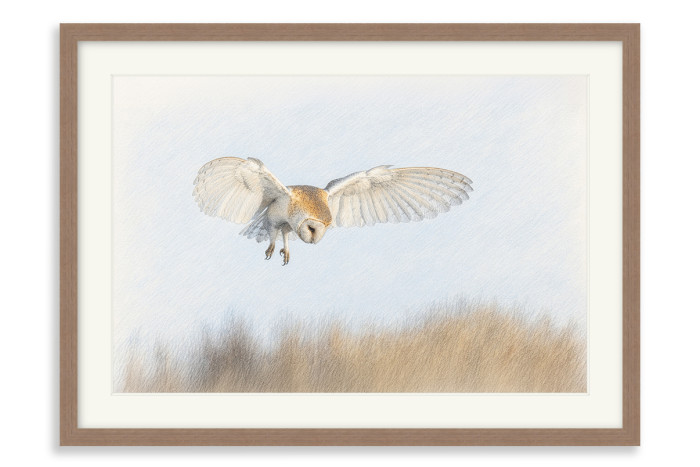 Walnut Frame A3 - 29 x 42 cm (+£159.00)