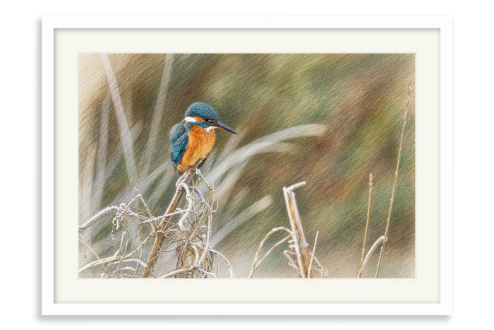 White Frame A3+ - 32.9 x 48.3 cm (+£220.00)