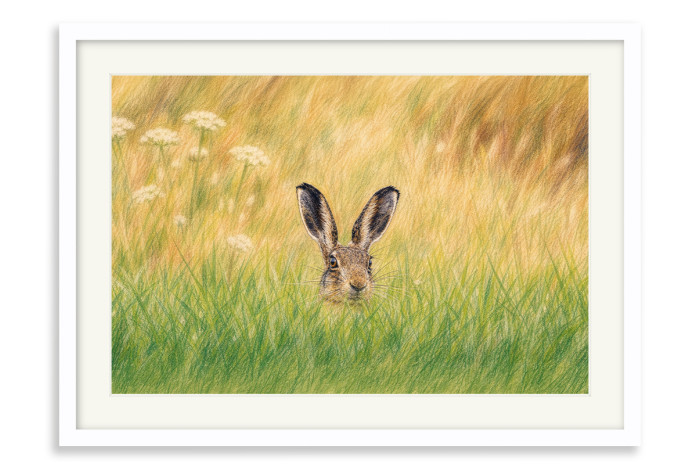 White Frame A3+ - 32.9 x 48.3 cm (+£220.00)