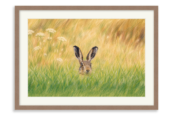Walnut Frame  A4 -  21 x 29.7 cm (+£130.00)