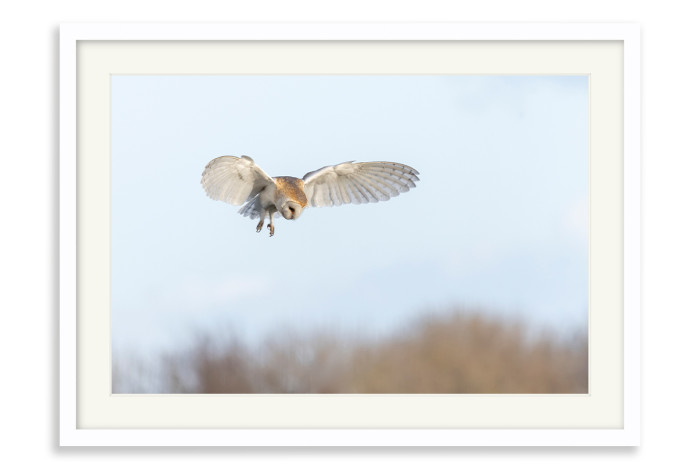 White Frame A5 - 14.8 x21 cm  (+£100.00)
