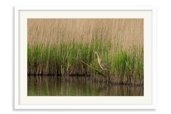 White Frame A5 - 14.8 x21 cm  (+£100.00)