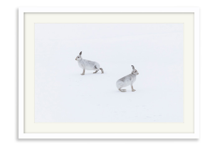 White Frame A5 - 14.8 x21 cm  (+£100.00)